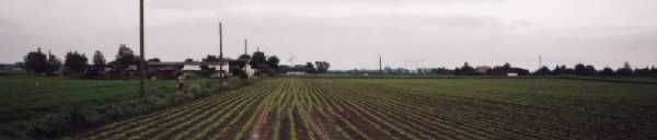 vielarmige Windr&auml;der