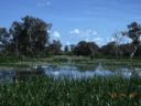 04-18_Kakadu-Flooding.jpg